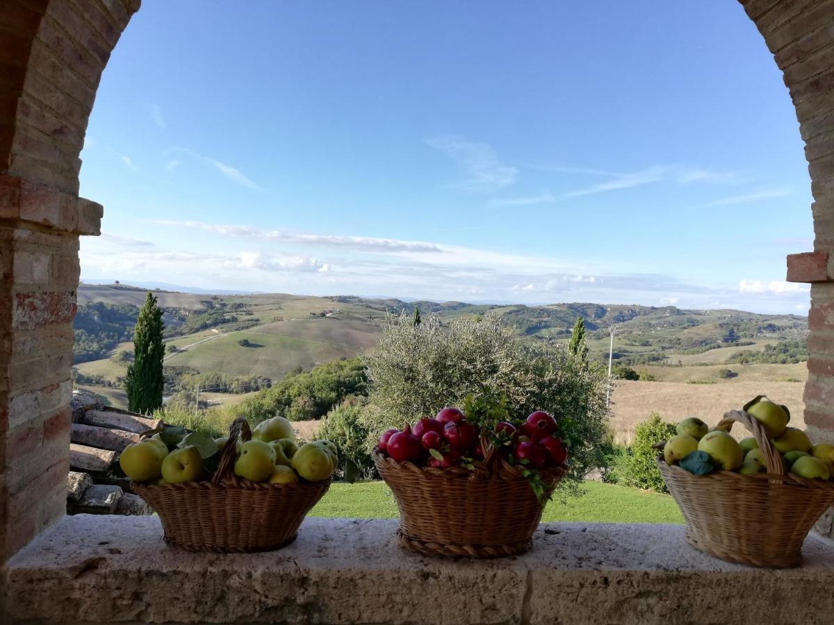 Agriturismo Monsole - Монтальчино Экстерьер фото
