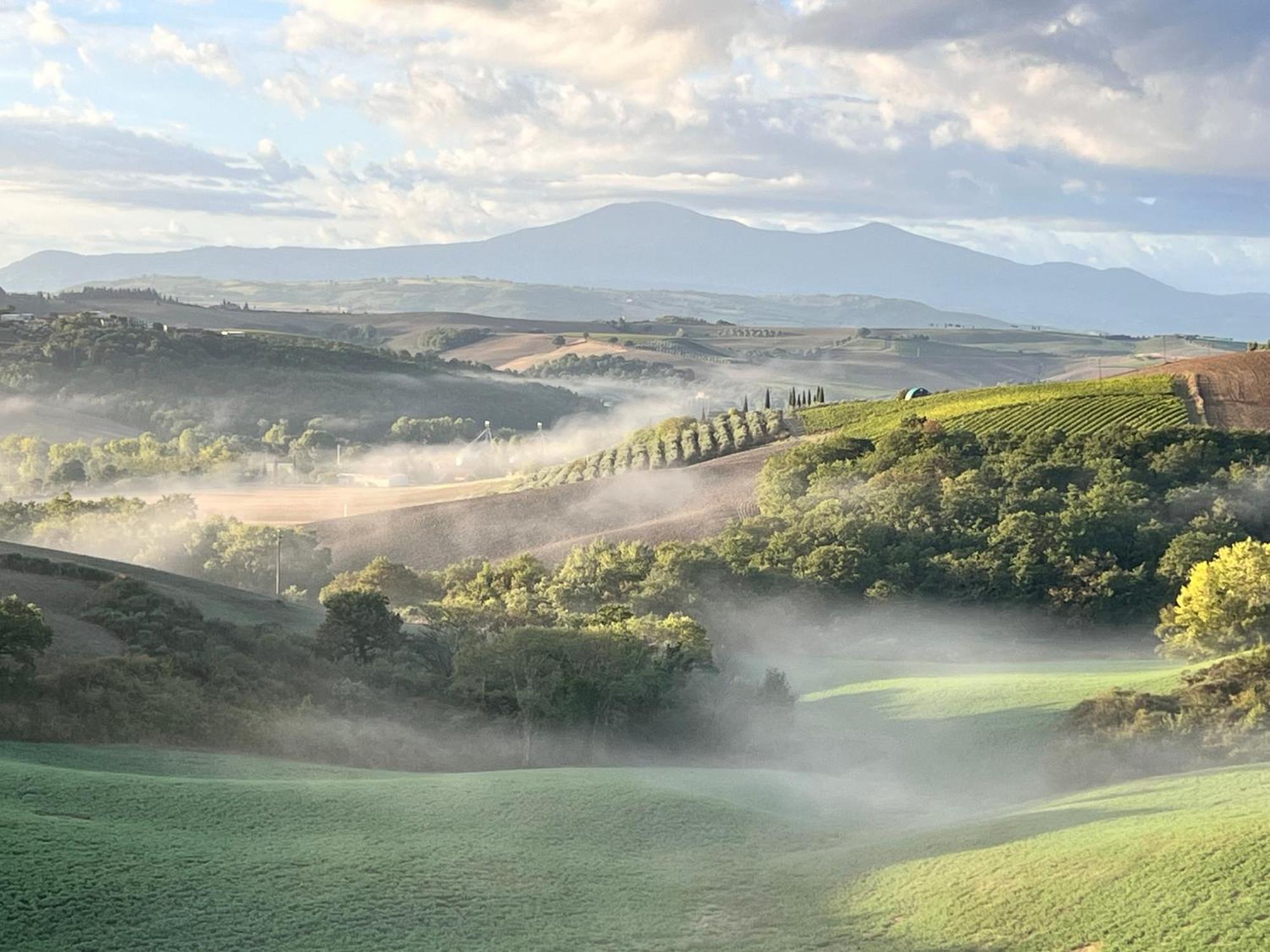 Agriturismo Monsole - Монтальчино Экстерьер фото